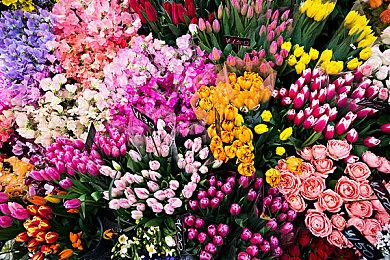 《超级机器人大战Y》开发者访谈 今后将继承传统新进化